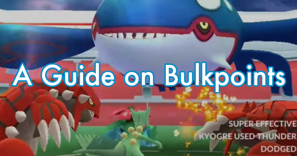 A Guide on Bulkpoints